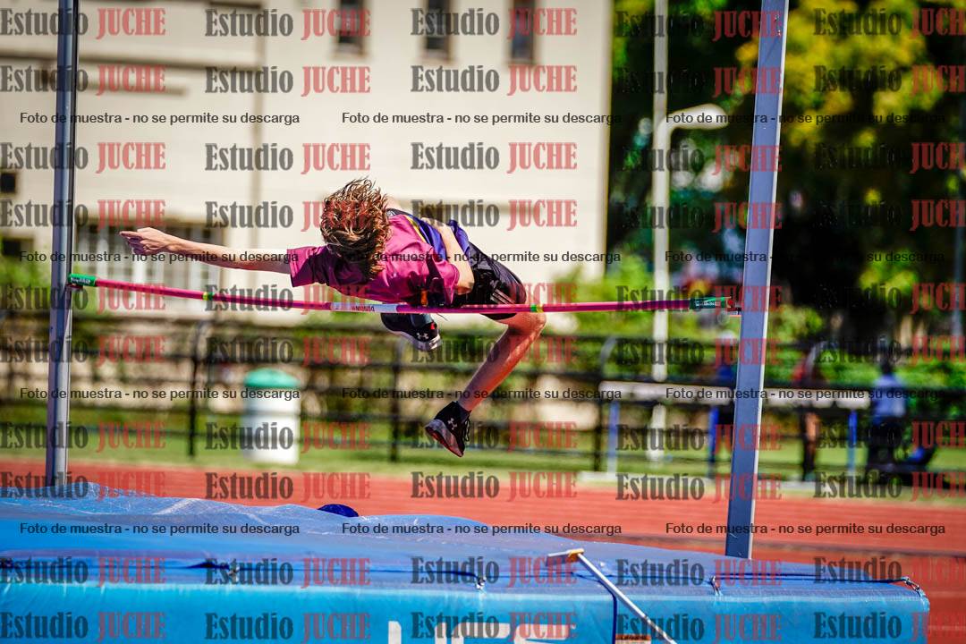 Fotos del salto en alto de varones