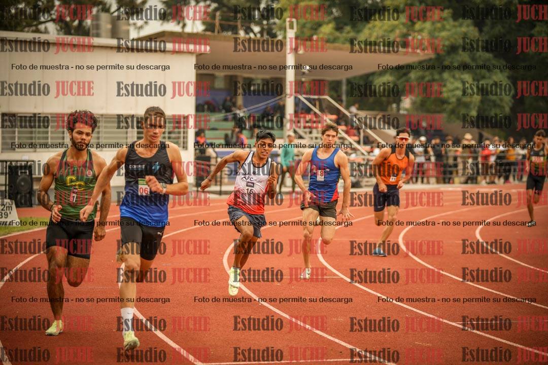 Fotos de los 800 m llanos de varones