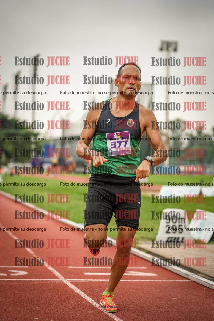 Fotos de los 800 m llanos de varones