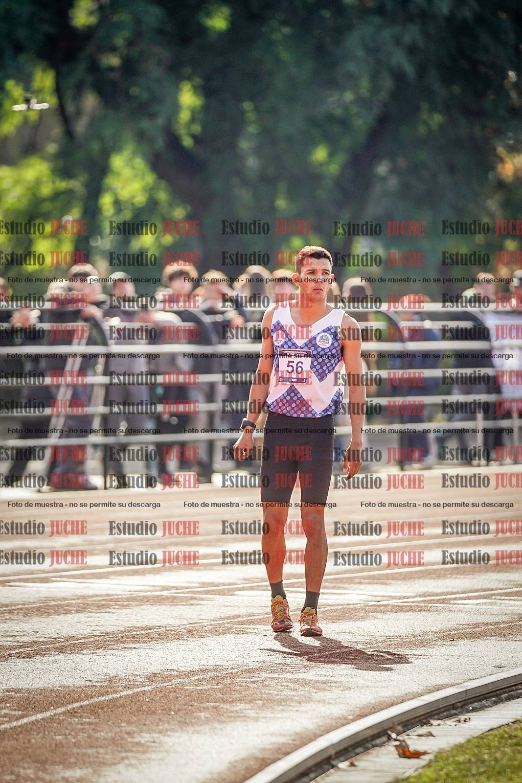 Fotos de los 800 m de varones