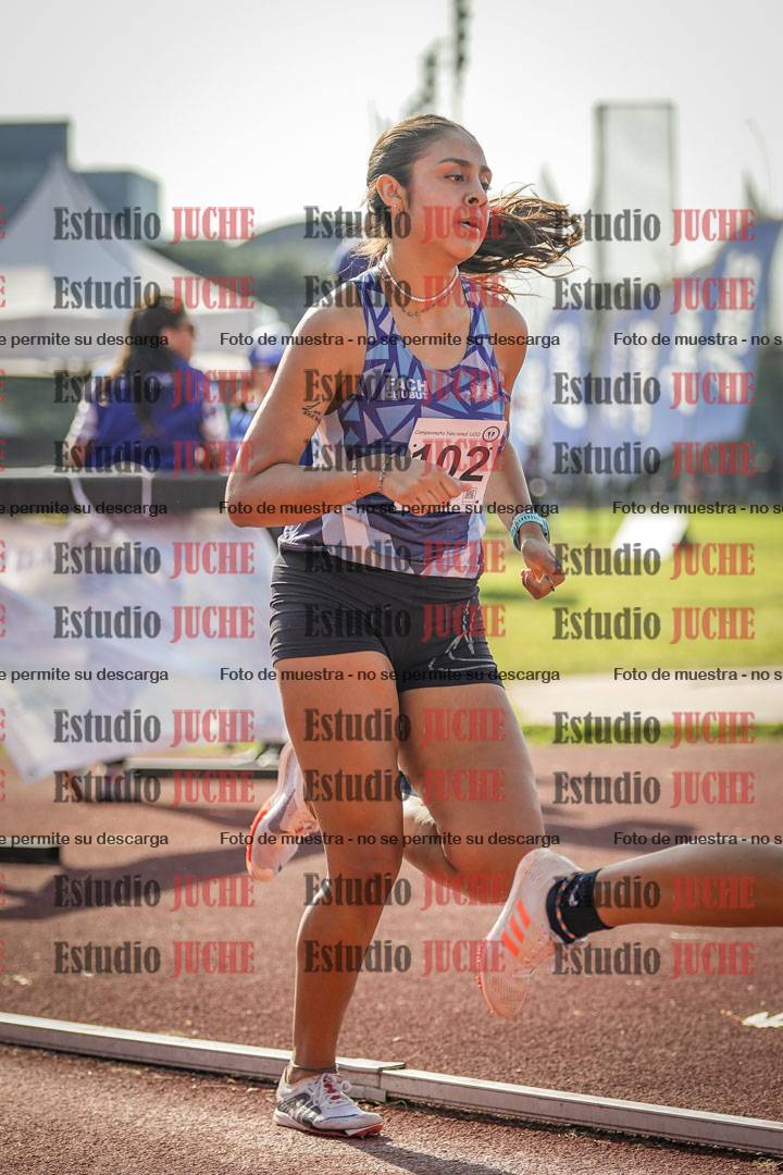 Fotos de los 800 m llanos de mujeres