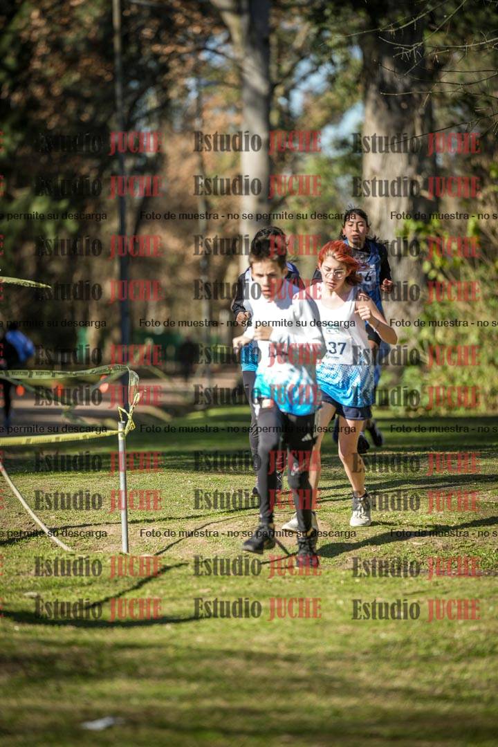 Fotos en el tercer punto del circuito