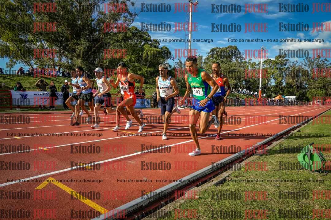 Fotos de los 3000 m con obstáculos de varones