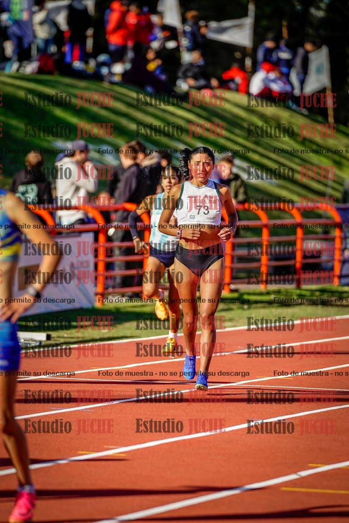 Fotos de los 5000 m de mujeres