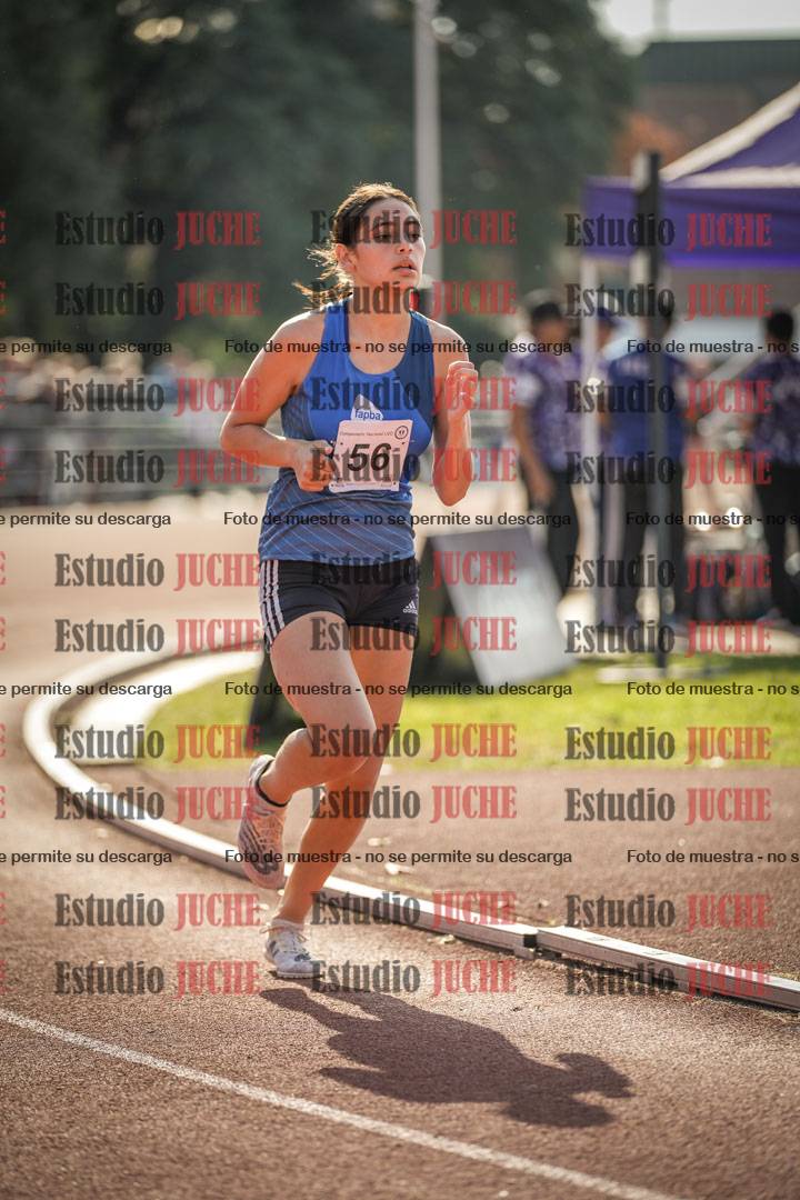 Fotos de los 800 m llanos de mujeres