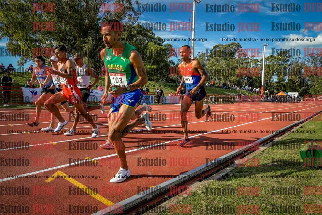 Fotos de los 3000 m con obstáculos de varones