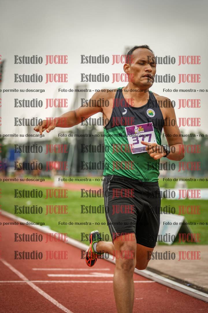 Fotos de los 800 m llanos de varones