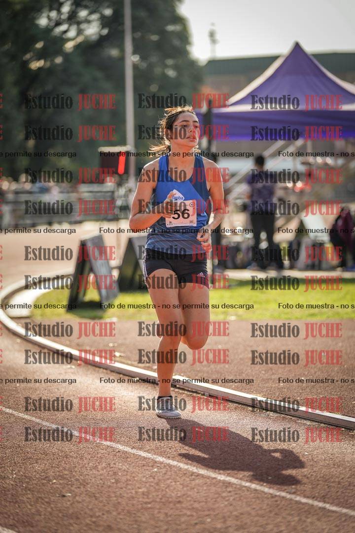 Fotos de los 800 m llanos de mujeres