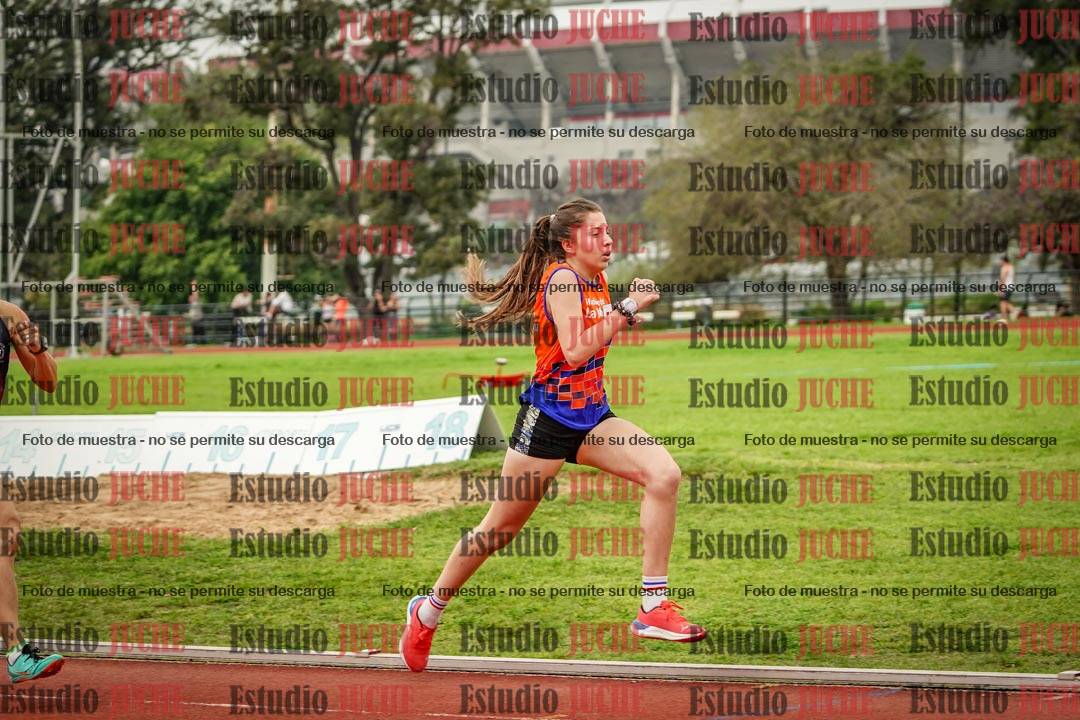 Fotos de los 800 m llanos de mujeres