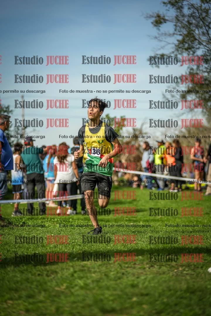 Fotos de la llegada del cross de 2000 m
