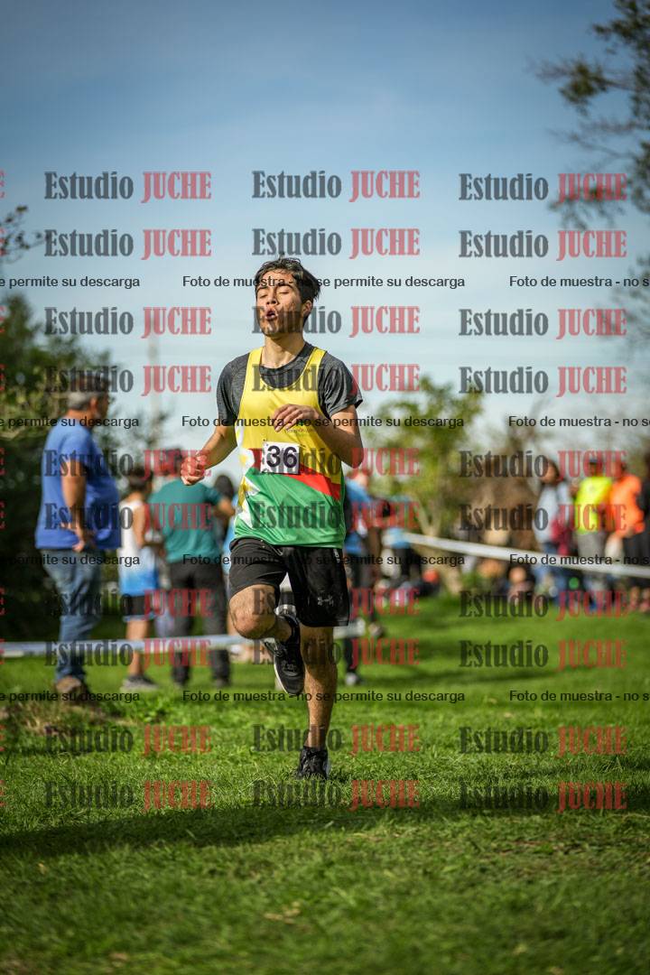 Fotos de la llegada del cross de 2000 m