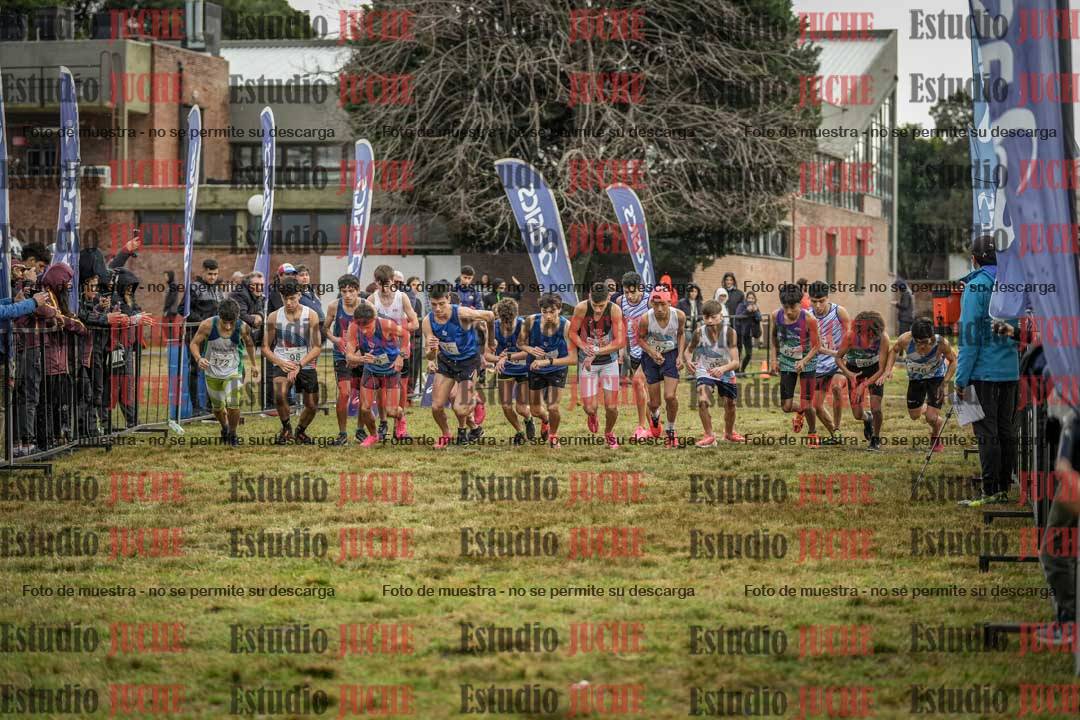 Fotos en de la largada