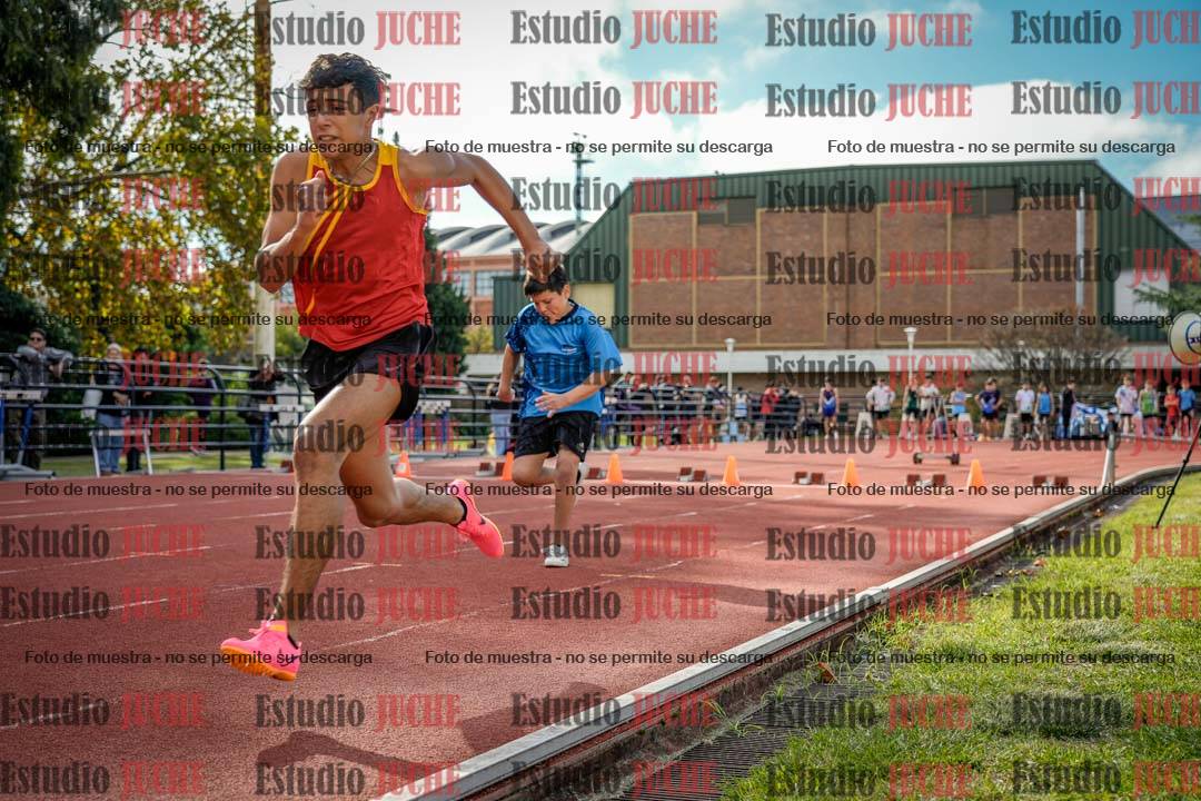 Fotos de los 80 m llanos de varones