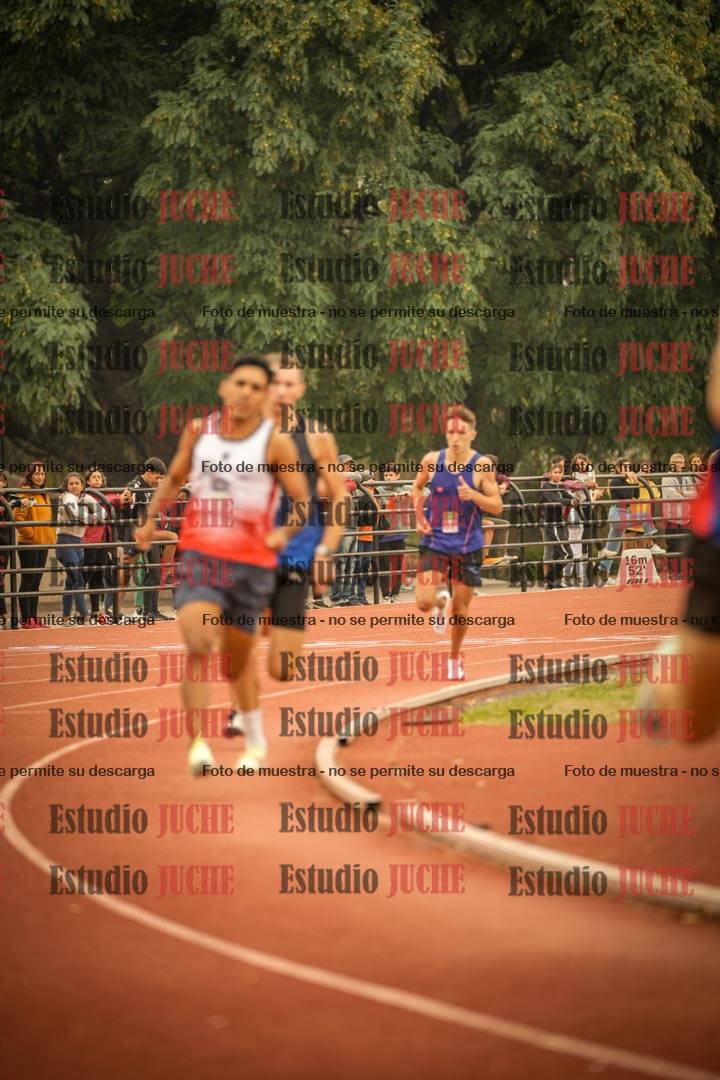 Fotos de los 800 m llanos de varones