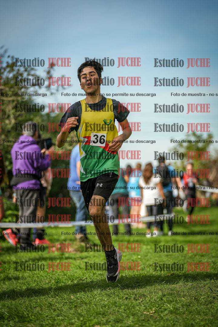 Fotos de la llegada del cross de 2000 m