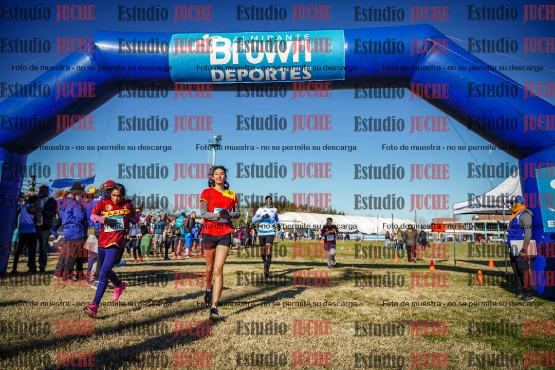Fotos de las llegadas