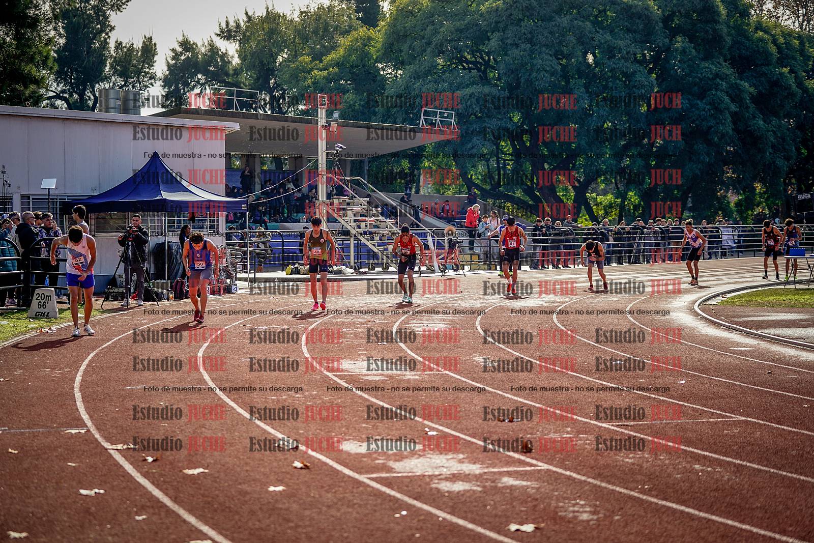 Fotos de los 800 m de varones