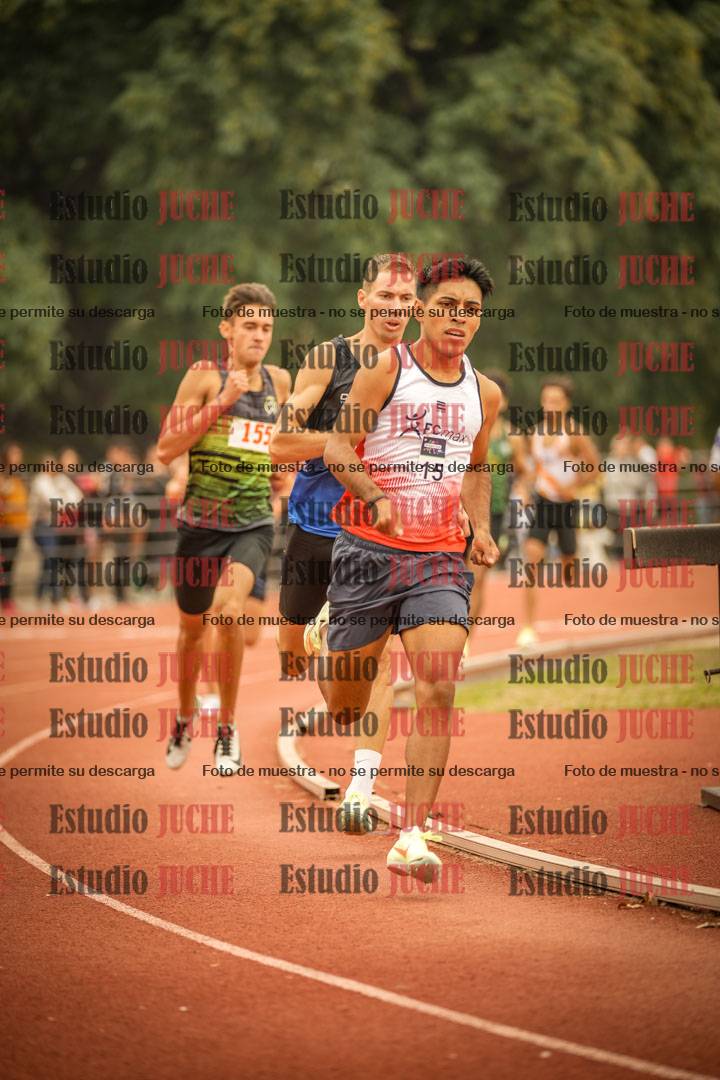 Fotos de los 800 m llanos de varones