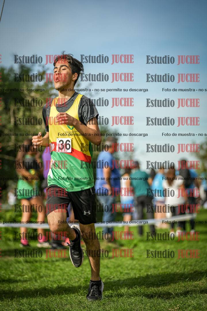 Fotos de la llegada del cross de 2000 m