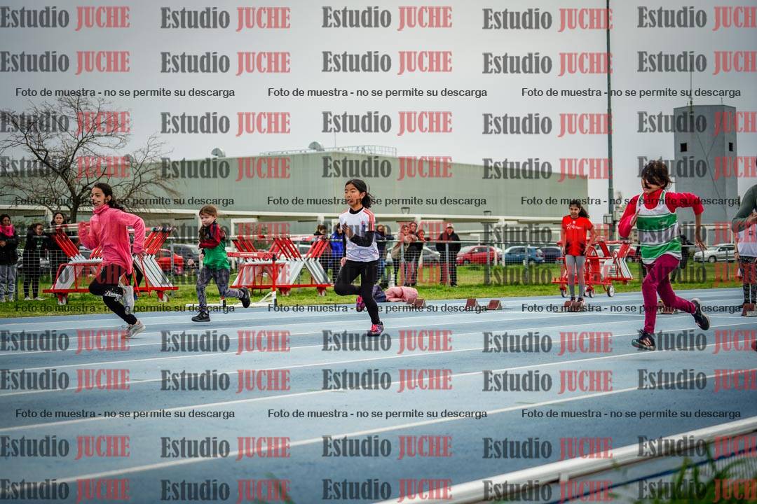 Fotos de los 50 m llanos de mujeres - U12