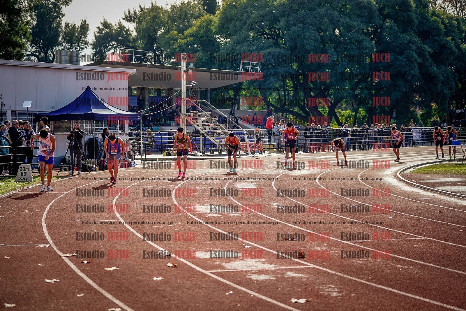 Fotos de los 800 m de varones