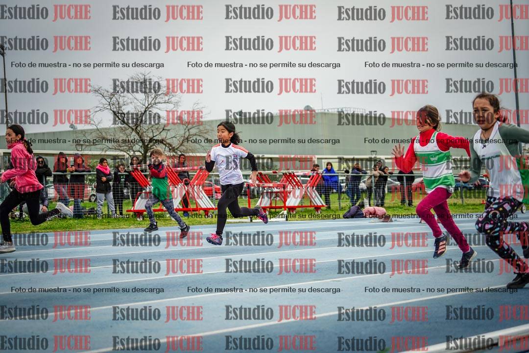 Fotos de los 50 m llanos de mujeres - U12
