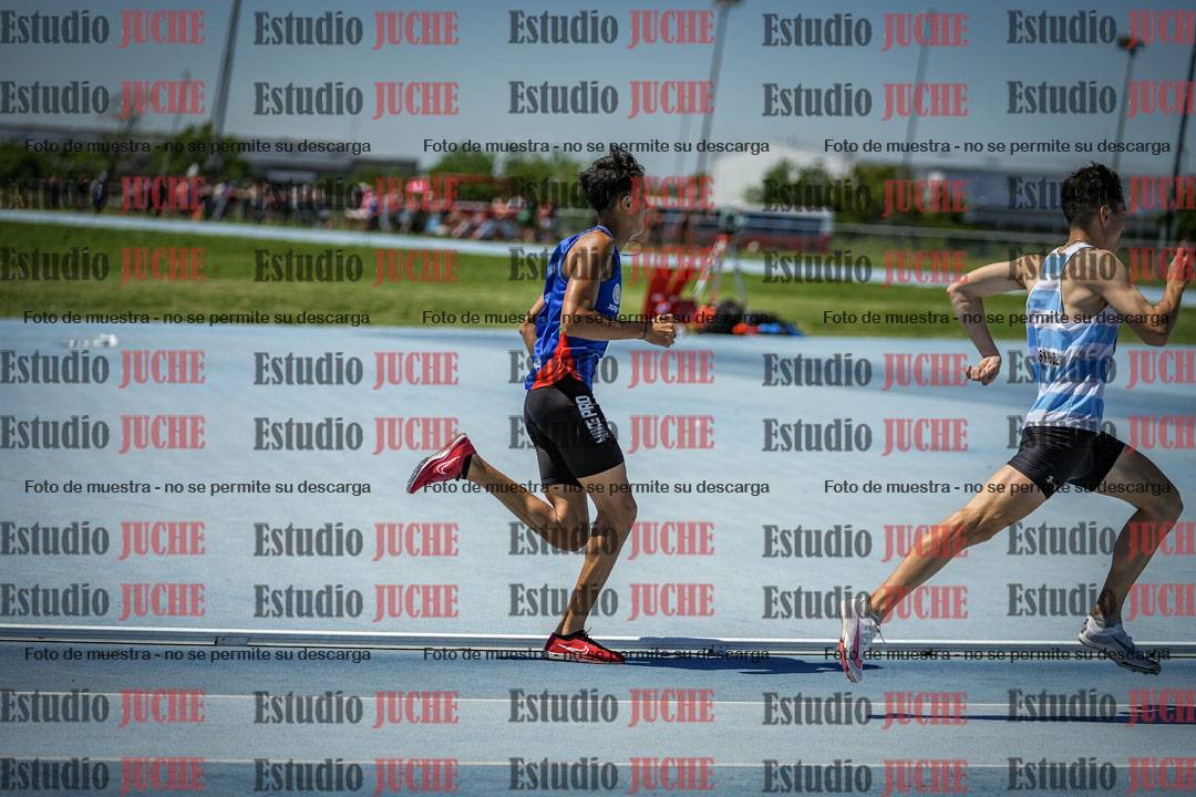 Fotos de los 800 m llanos de varones