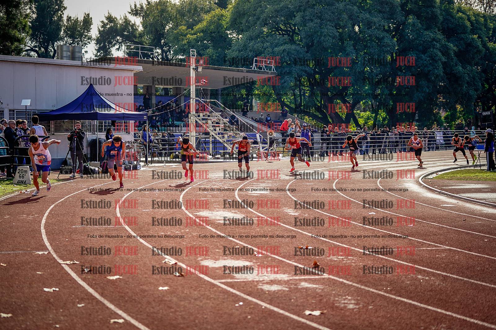 Fotos de los 800 m de varones
