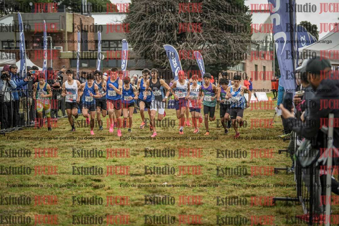 Fotos en de la largada