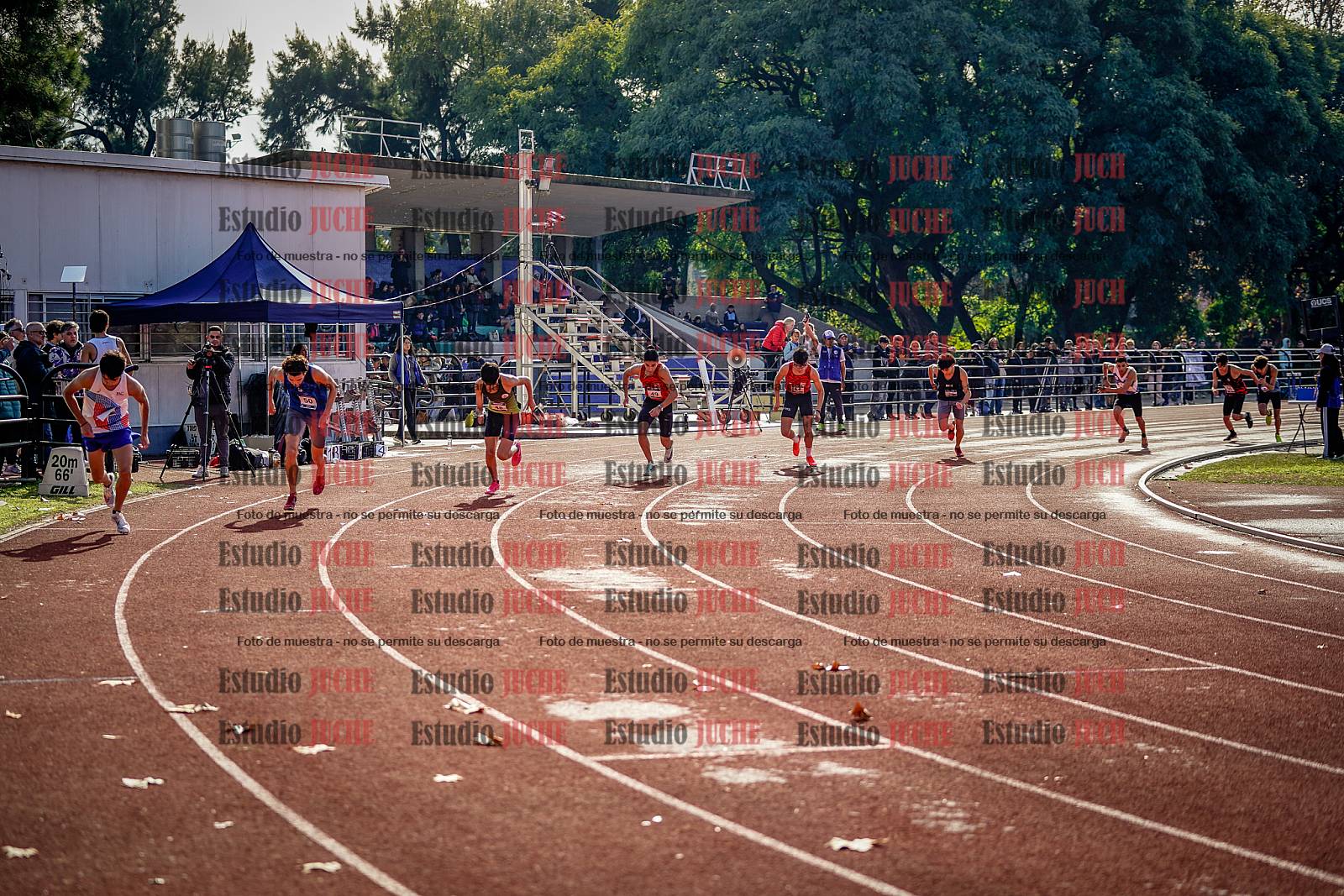 Fotos de los 800 m de varones