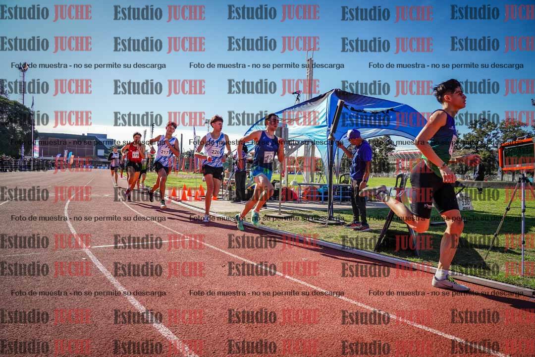 Fotos de los 800 m llanos de varones