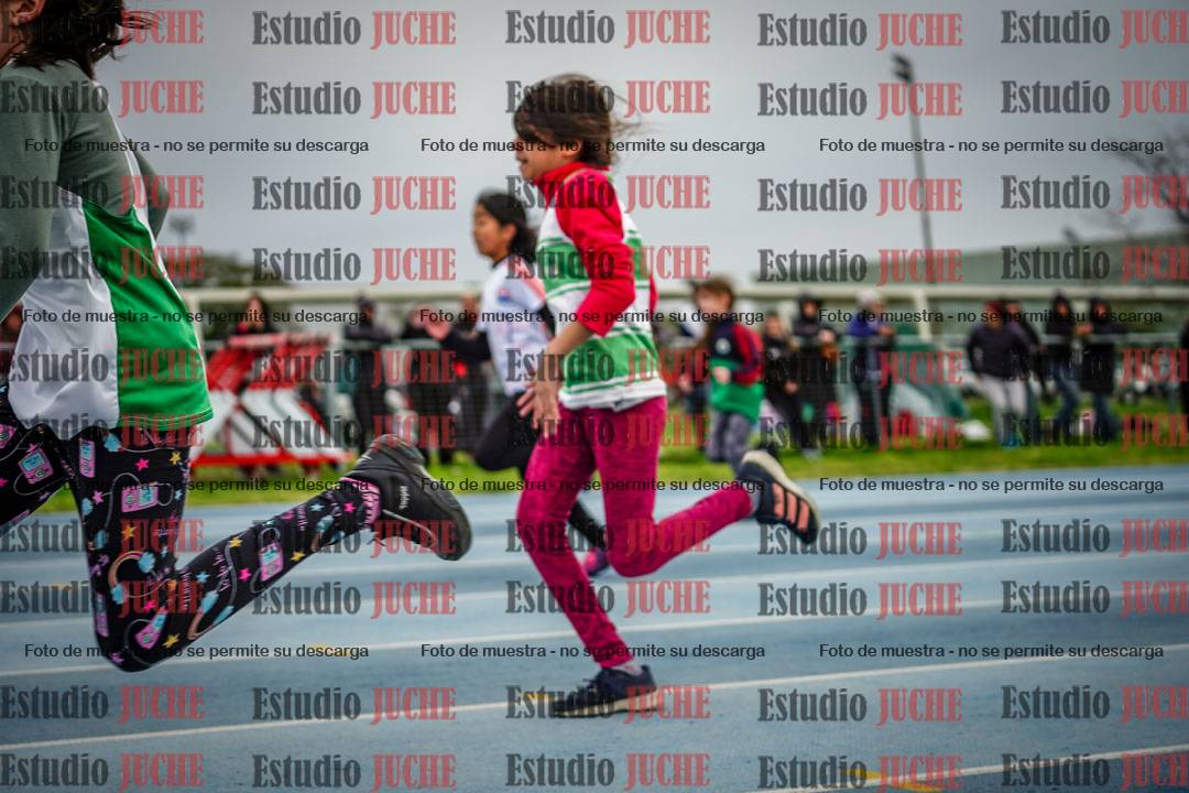 Fotos de los 50 m llanos de mujeres - U12