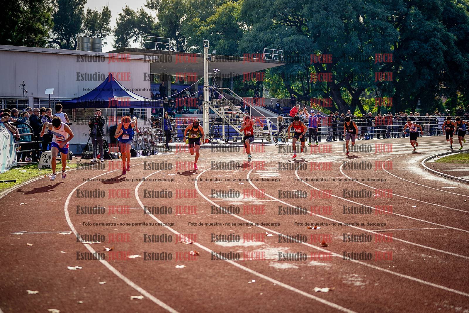 Fotos de los 800 m de varones