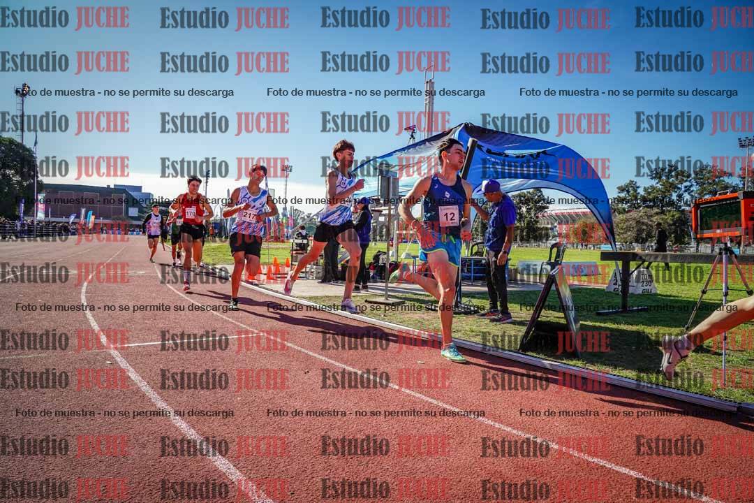 Fotos de los 800 m llanos de varones