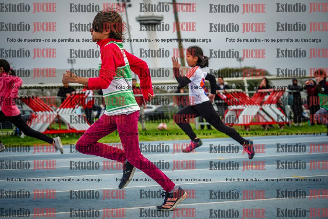 Fotos de los 50 m llanos de mujeres - U12