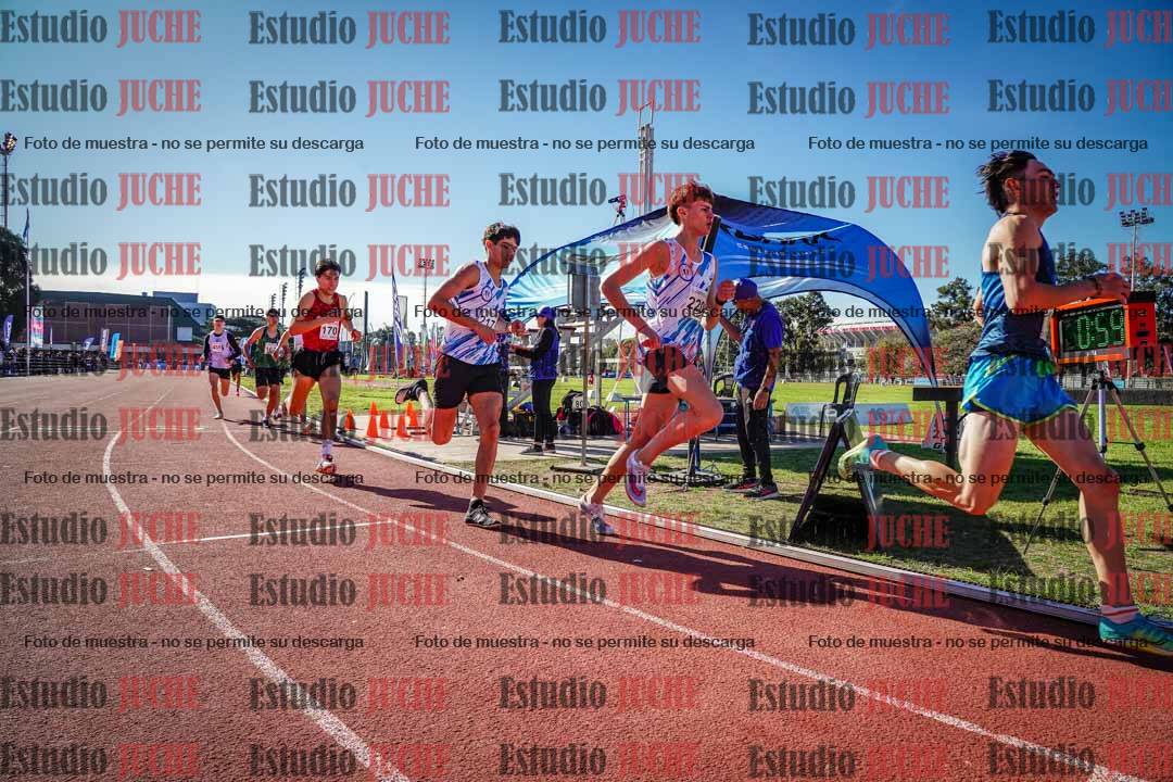 Fotos de los 800 m llanos de varones