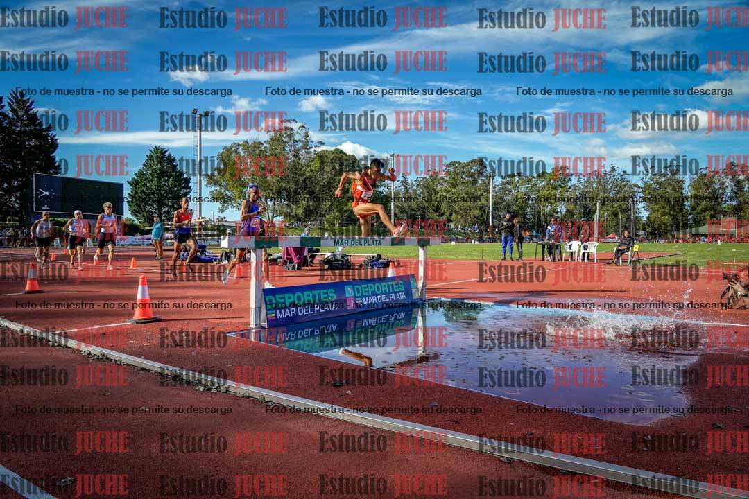 Fotos de los 3000 m con obstáculos de varones
