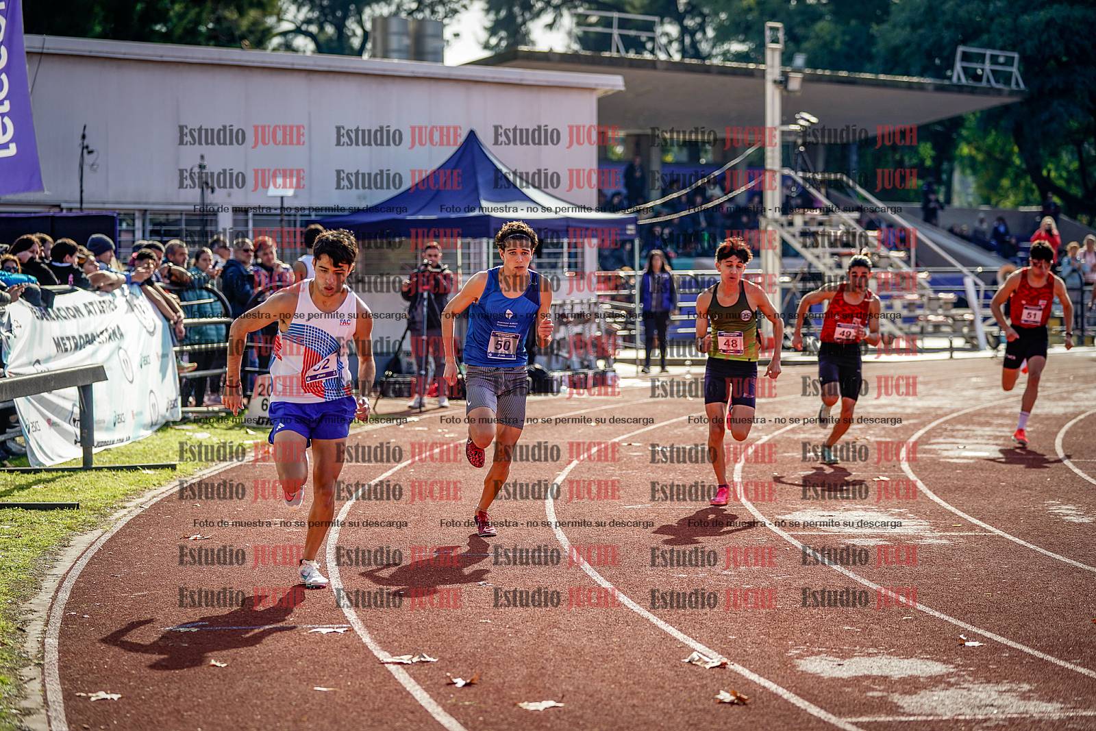 Fotos de los 800 m de varones