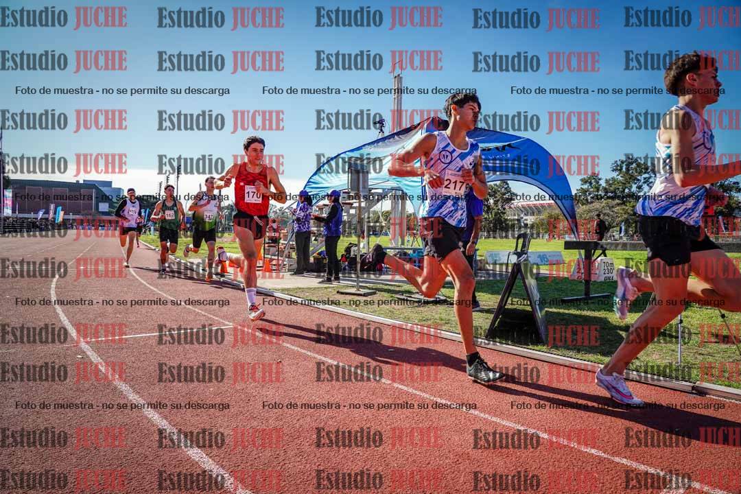 Fotos de los 800 m llanos de varones