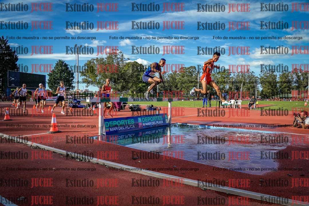 Fotos de los 3000 m con obstáculos de varones