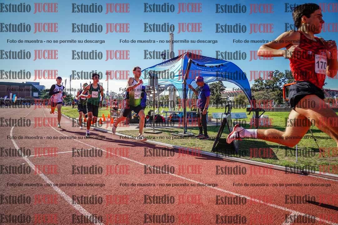Fotos de los 800 m llanos de varones