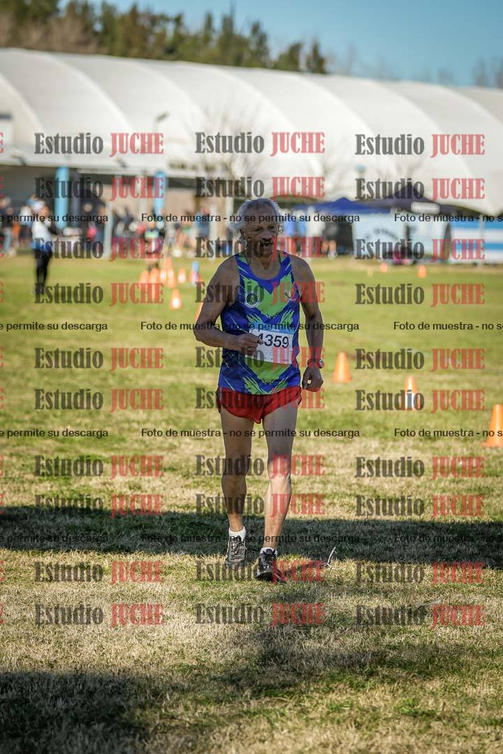 Fotos de las llegadas