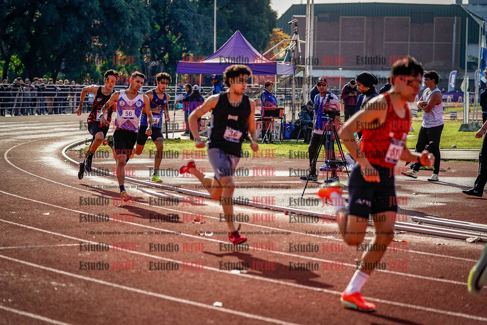 Fotos de los 800 m de varones