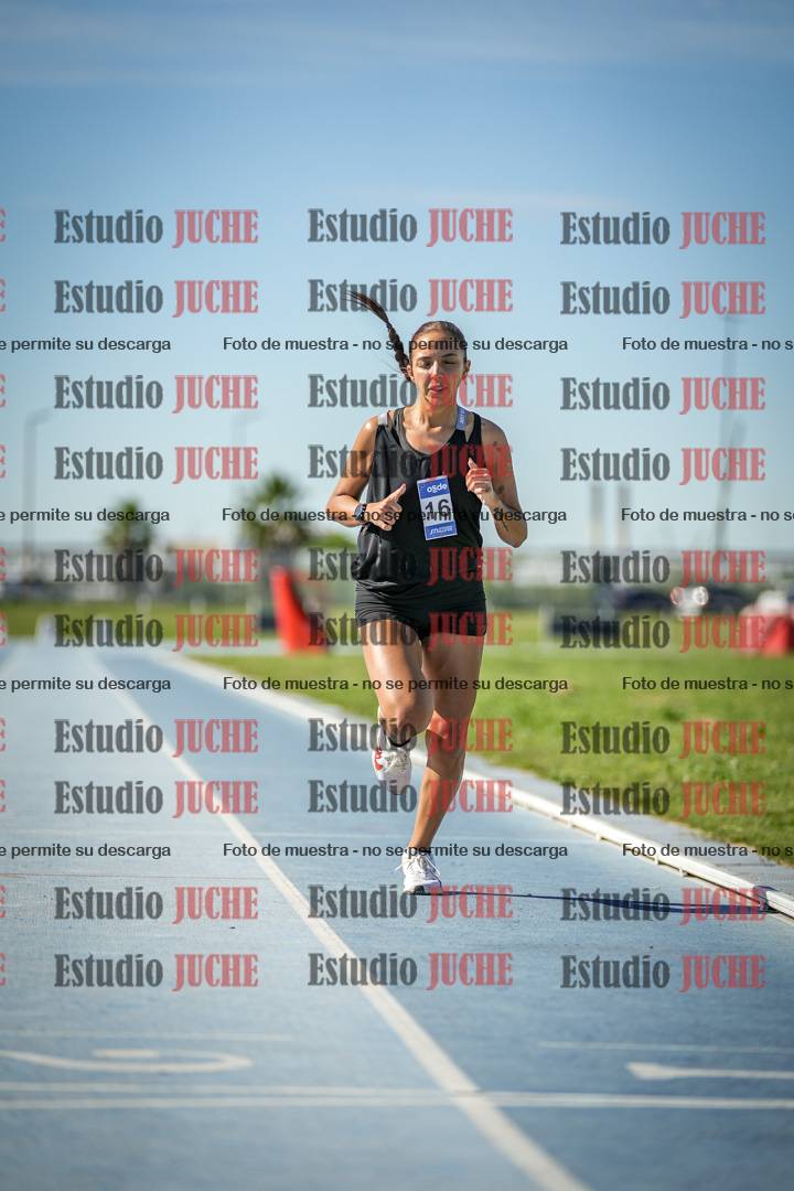 Fotos de los 1500 m llanos de mujeres