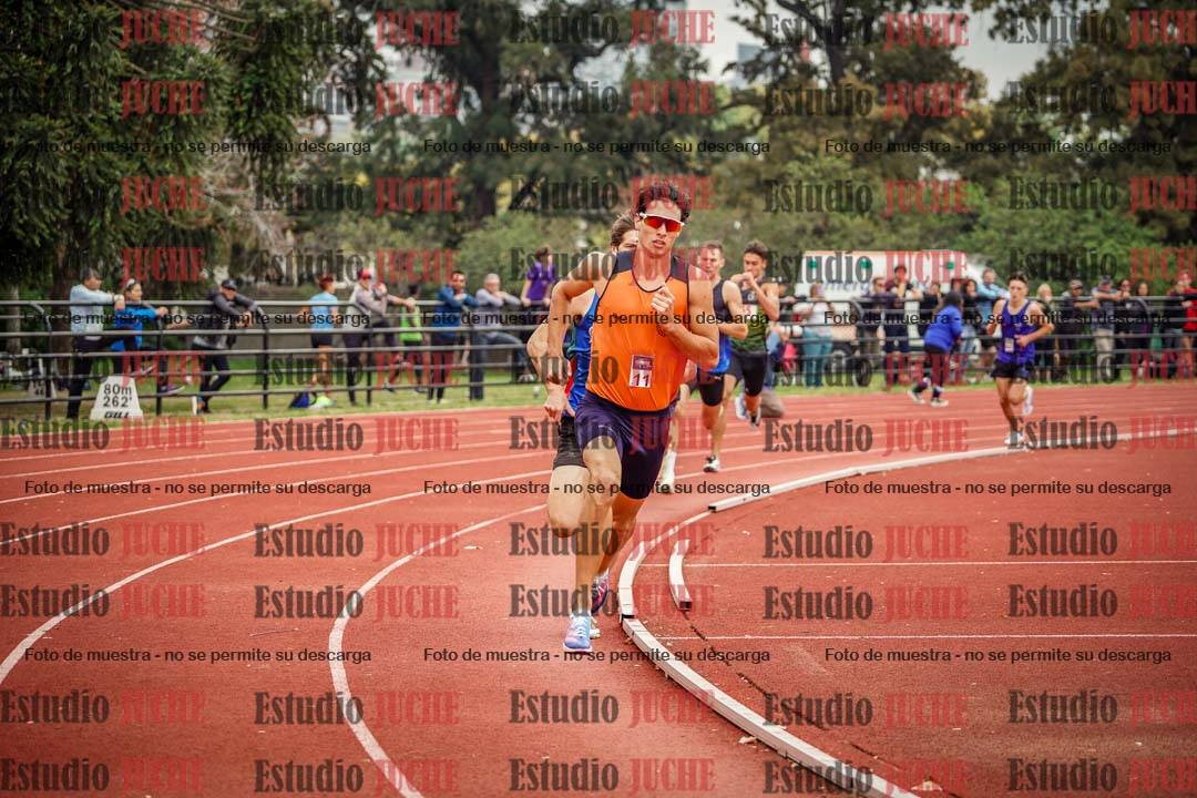 Fotos de los 800 m llanos de varones