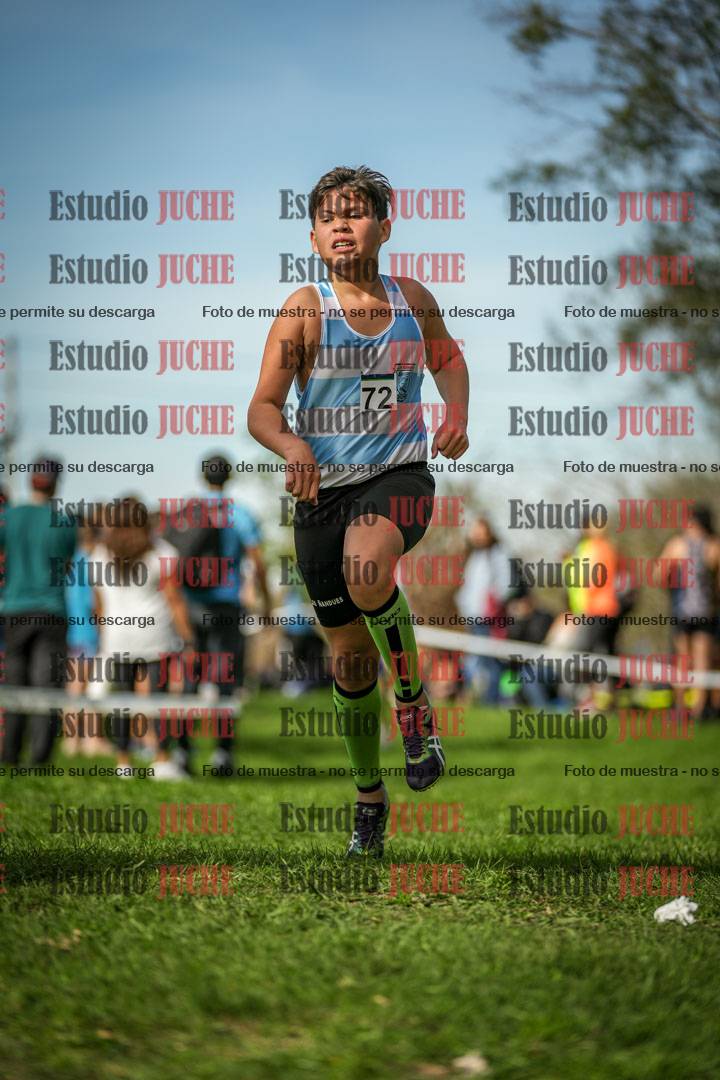 Fotos de la llegada del cross de 2000 m