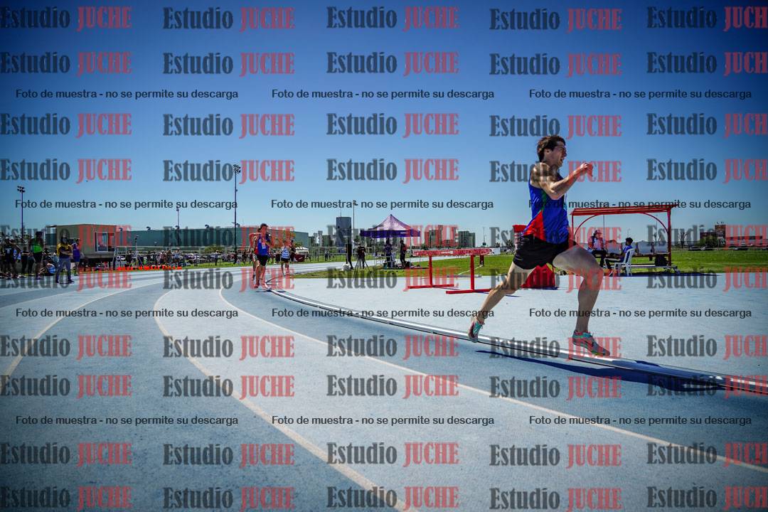 Fotos de los 800 m llanos de varones