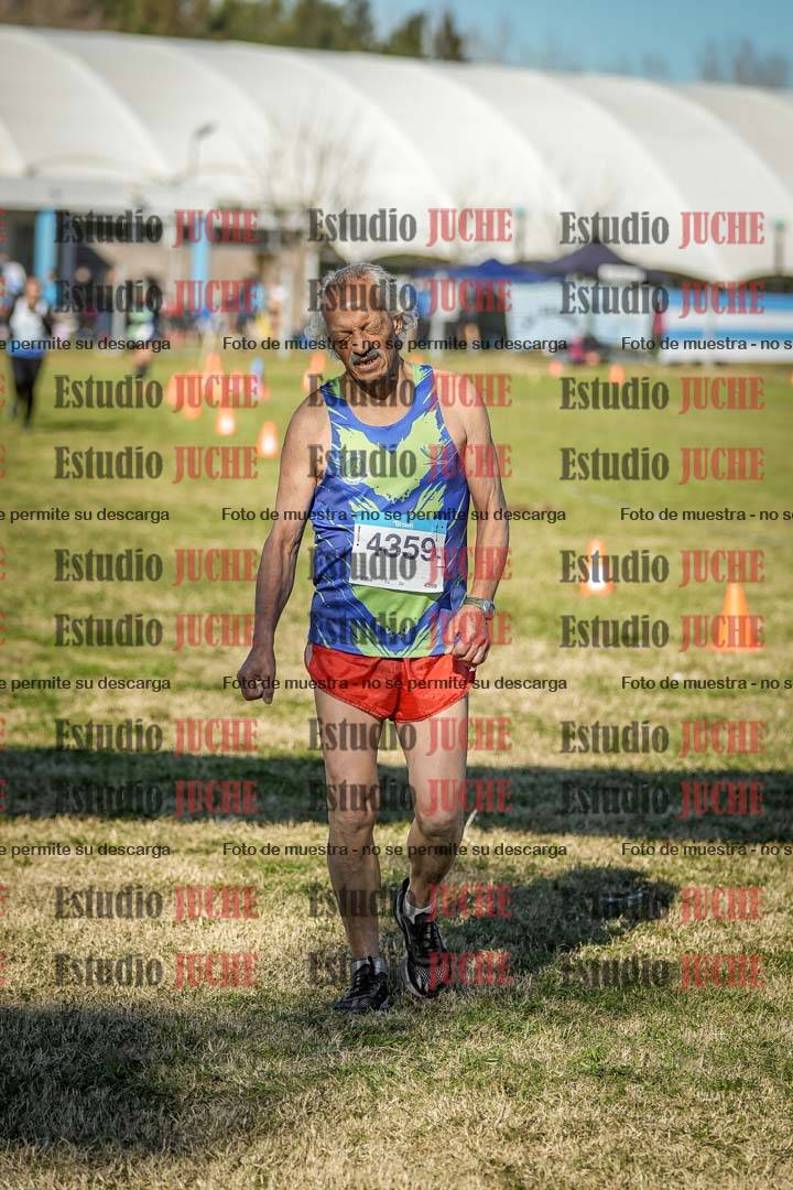 Fotos de las llegadas