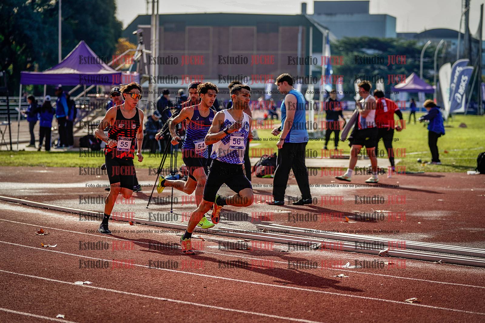 Fotos de los 800 m de varones