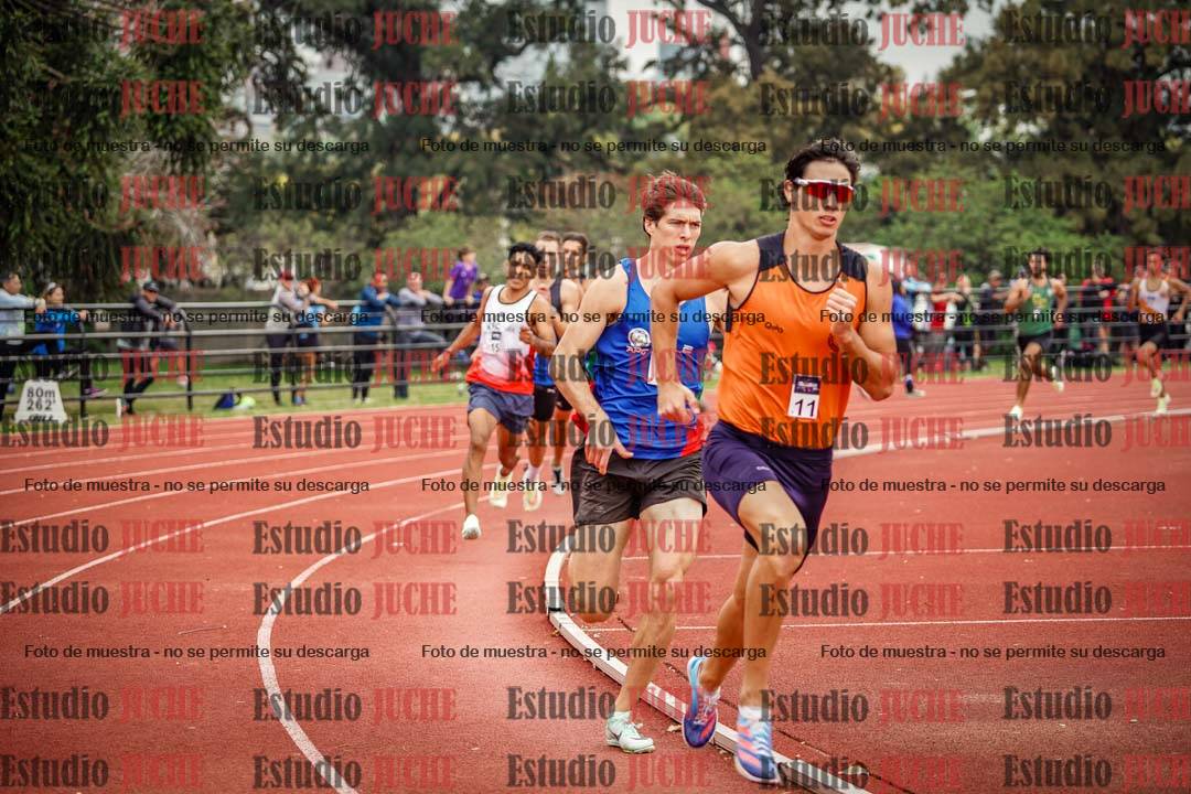 Fotos de los 800 m llanos de varones